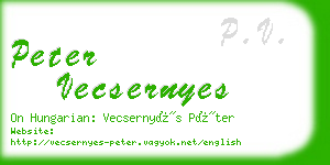 peter vecsernyes business card